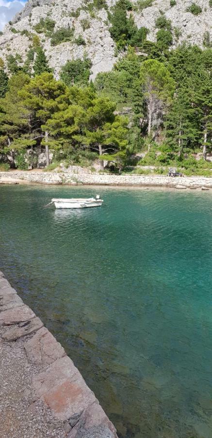 Danijela * Senj (Lika-Senj)